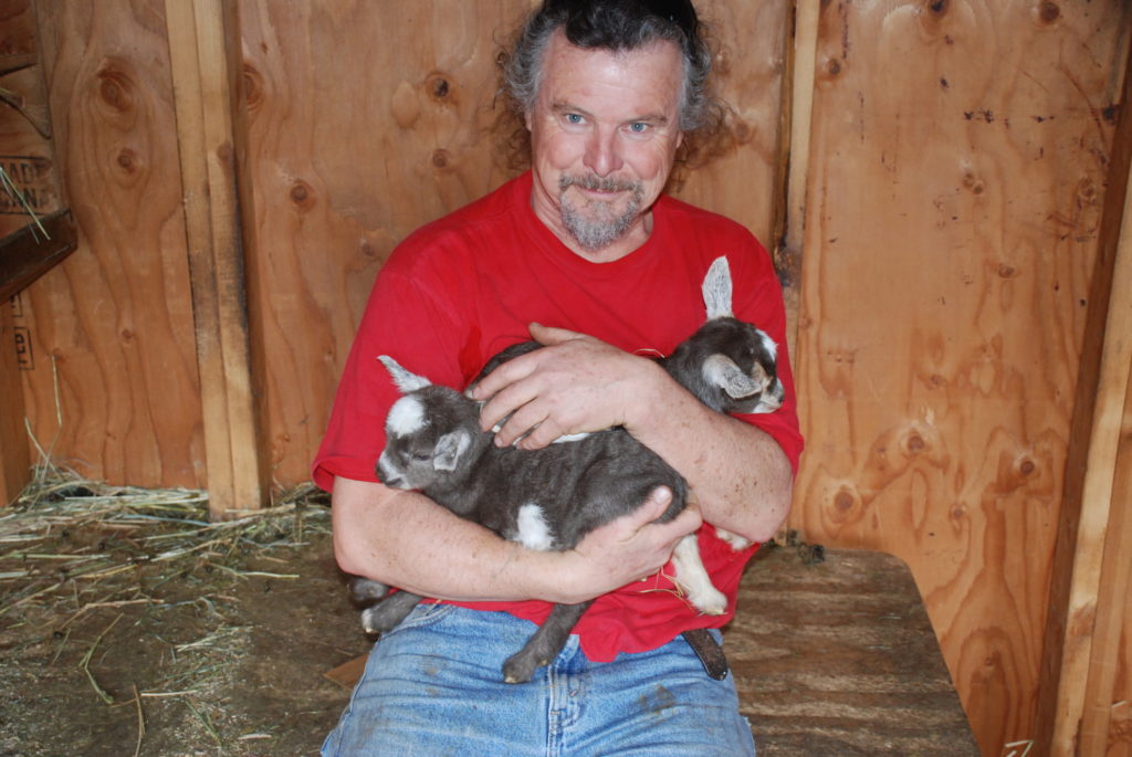 A farmer holding two newborn twin goat kids in the barn
